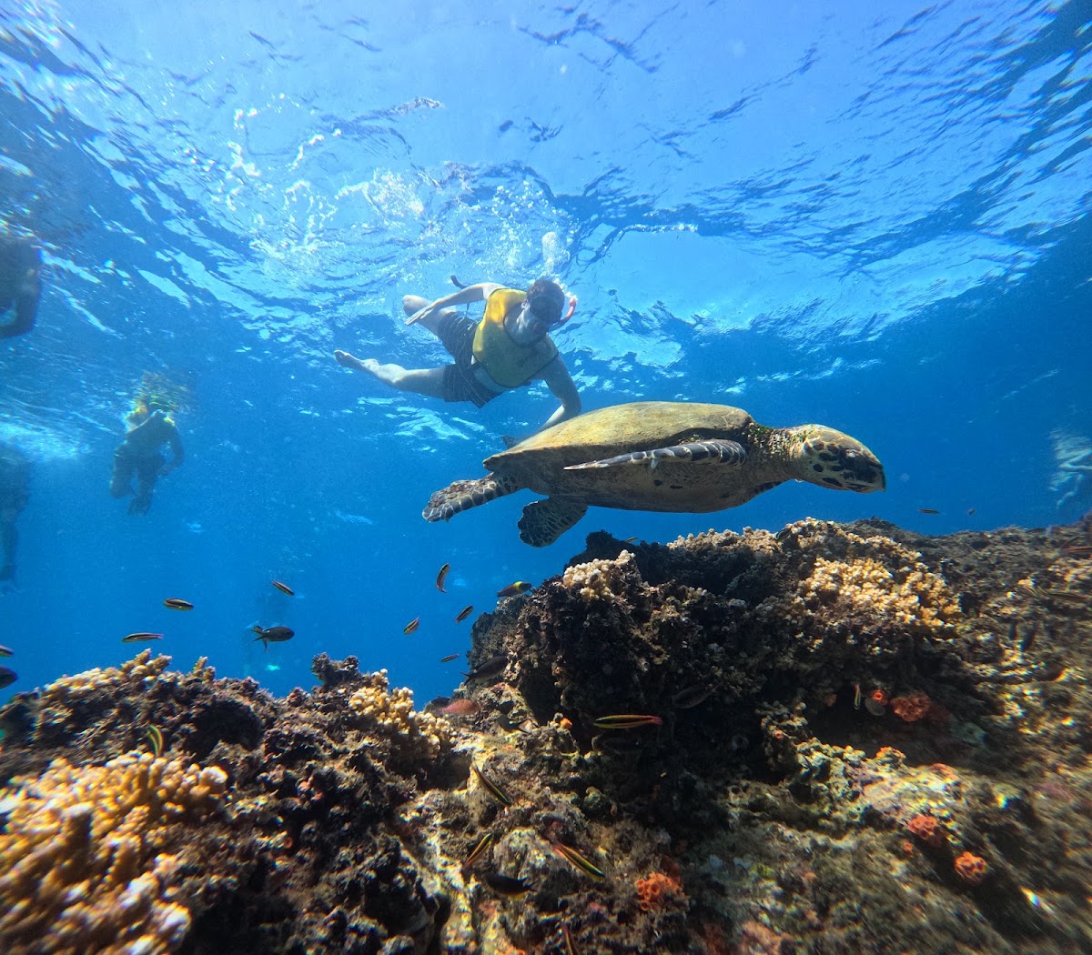 Bahia Aventuras - photo 5