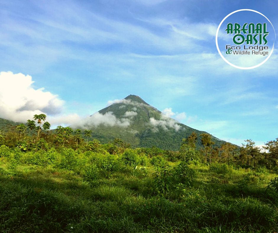 Arenal Oasis Eco Lodge & Wildlife Refuge - photo 5