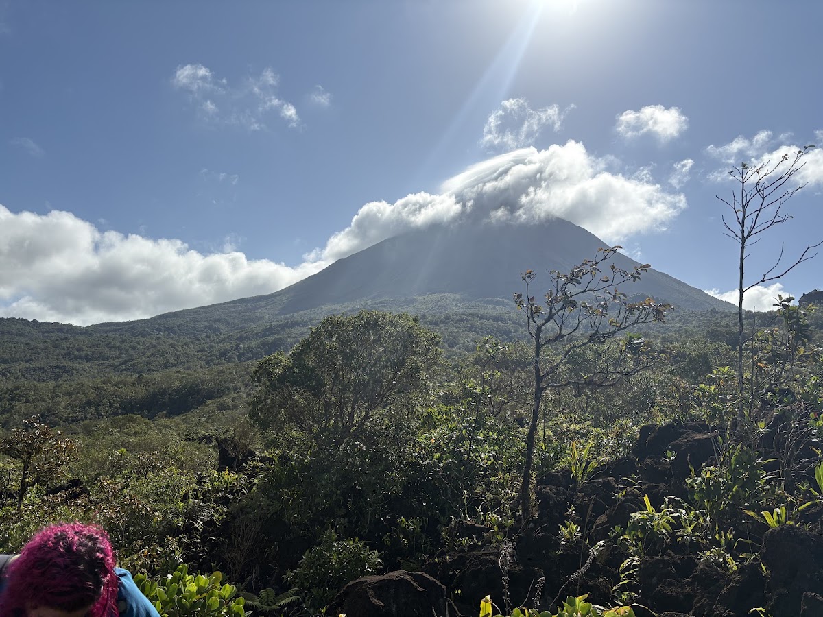 Ecoterra Costa Rica - Tours & Transfers - photo 2