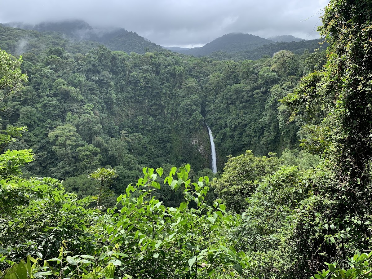 Ecoterra Costa Rica - Tours & Transfers - photo 3