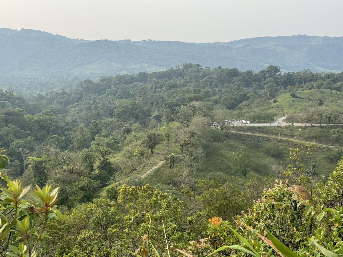Ecoterra Costa Rica - Tours & Transfers - photo 4