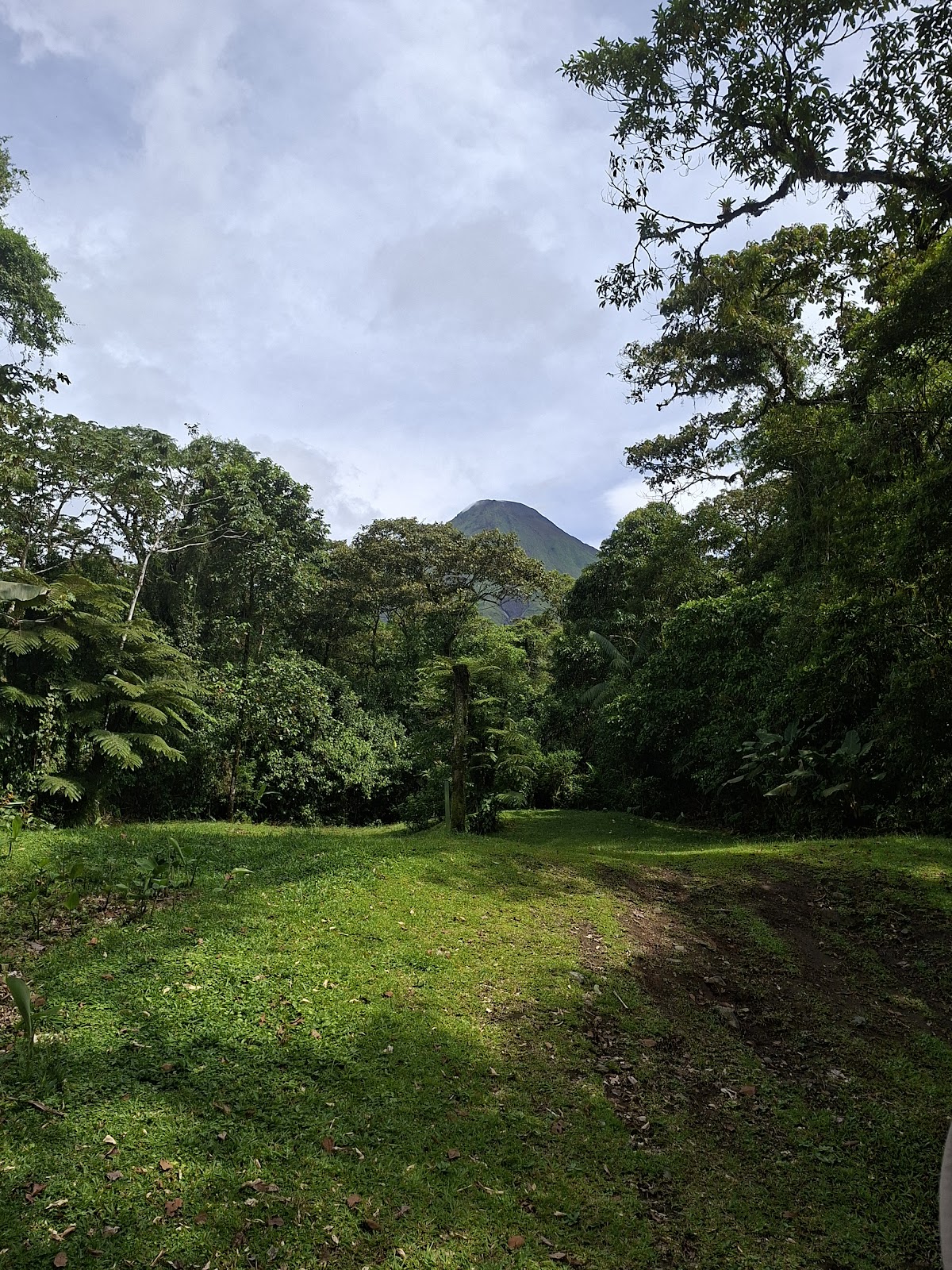 Original Arenal ATV - photo 4