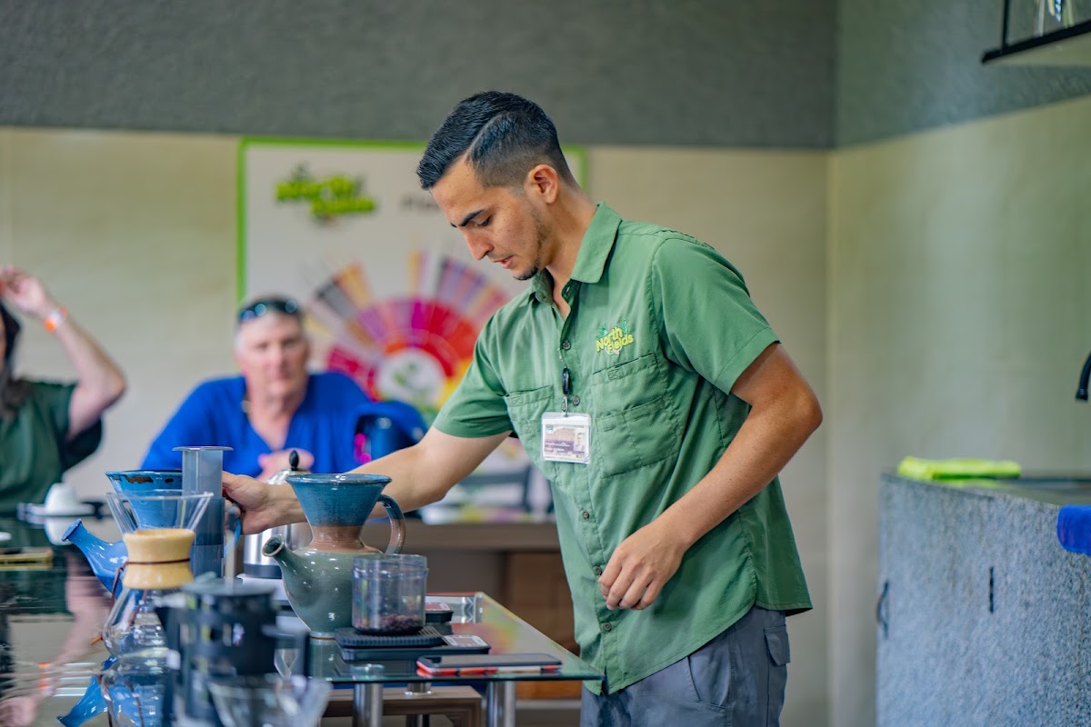 North Fields Coffee Tour - featured photo