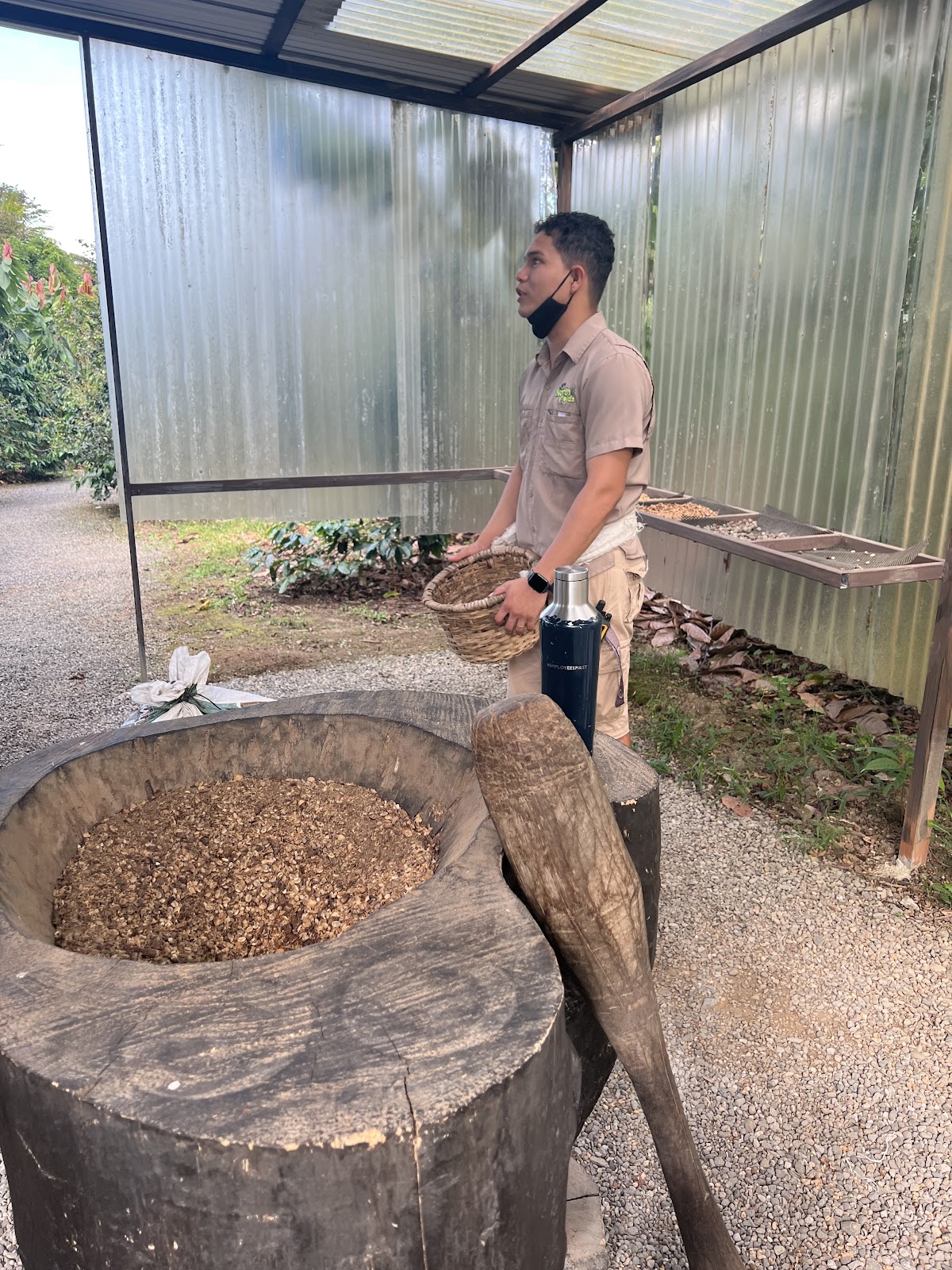 North Fields Coffee Tour - photo 3