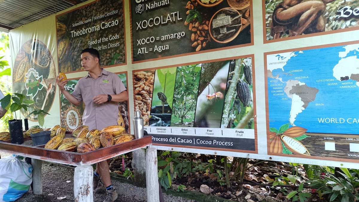 North Fields Coffee Tour - photo 4