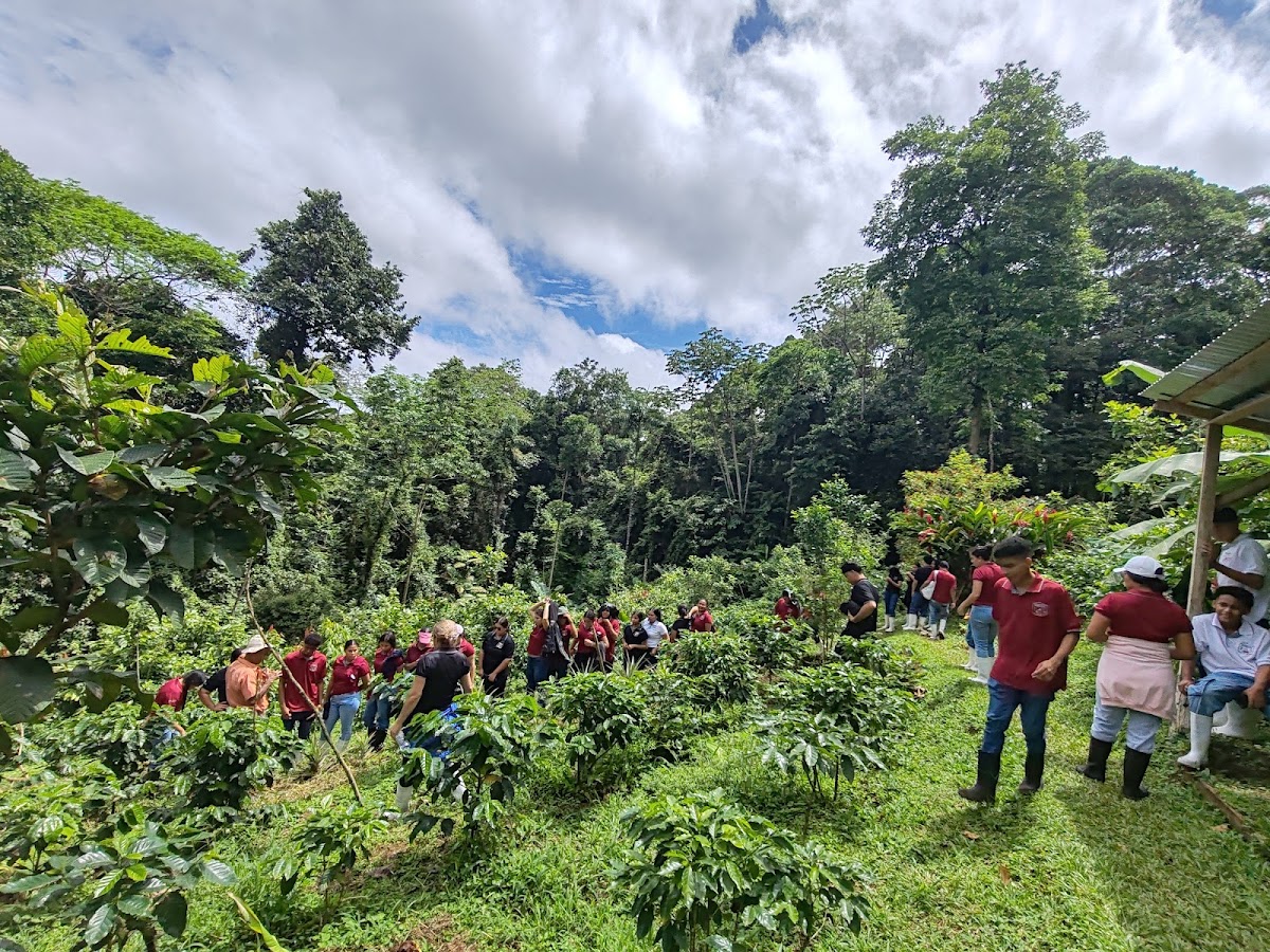 Finca La Esperanza: Coffee and Chocolate Tour, Cabaña Blue Jeans - photo 5