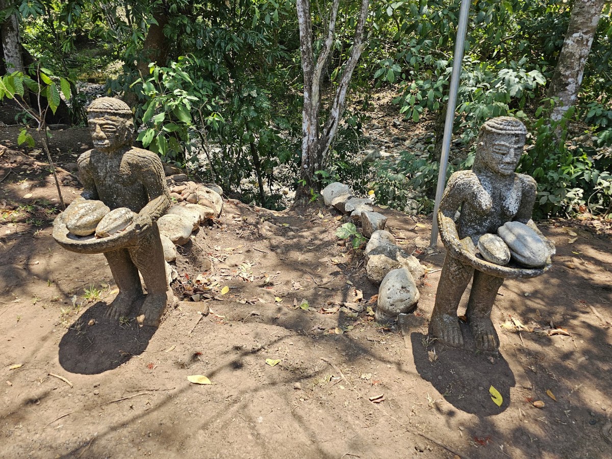 Choco Tour Costa Rica - photo 4