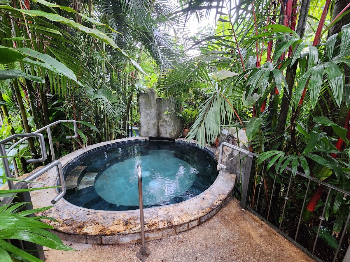 Paradise Hot Springs - photo 3