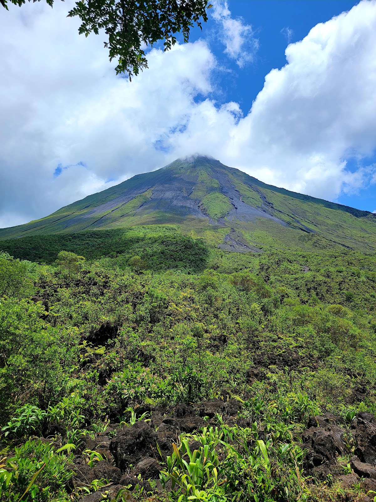 Arenal Volcano View and Lava Trails - photo 2