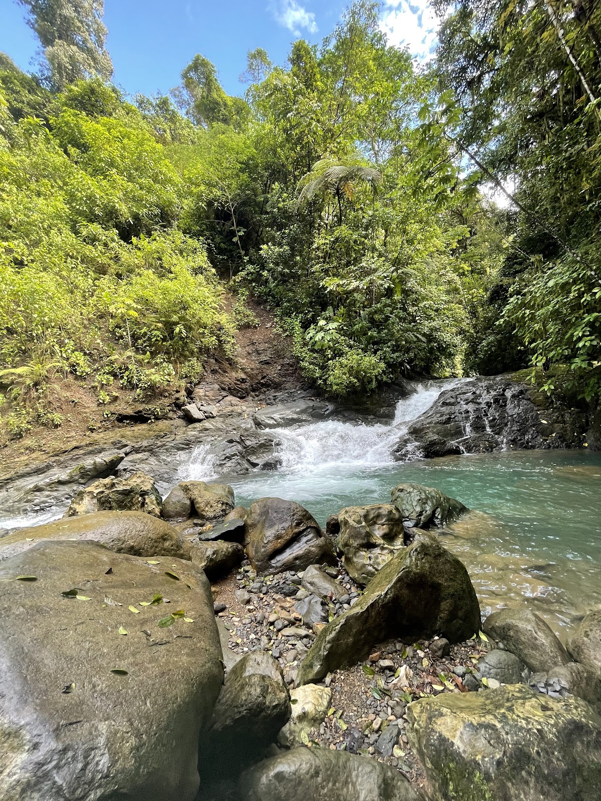 Tucanes Tours - photo 5