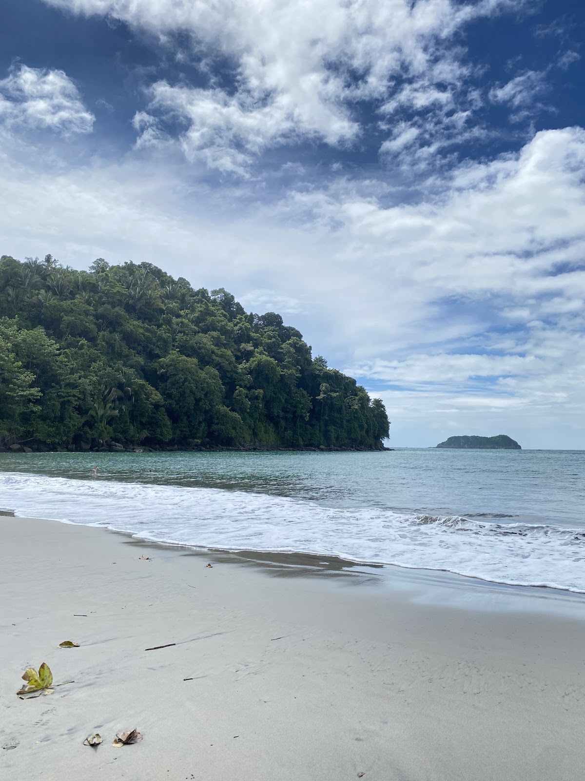 Manuel Antonio Evergreen Tours - Costa Rica con Venegas - photo 2