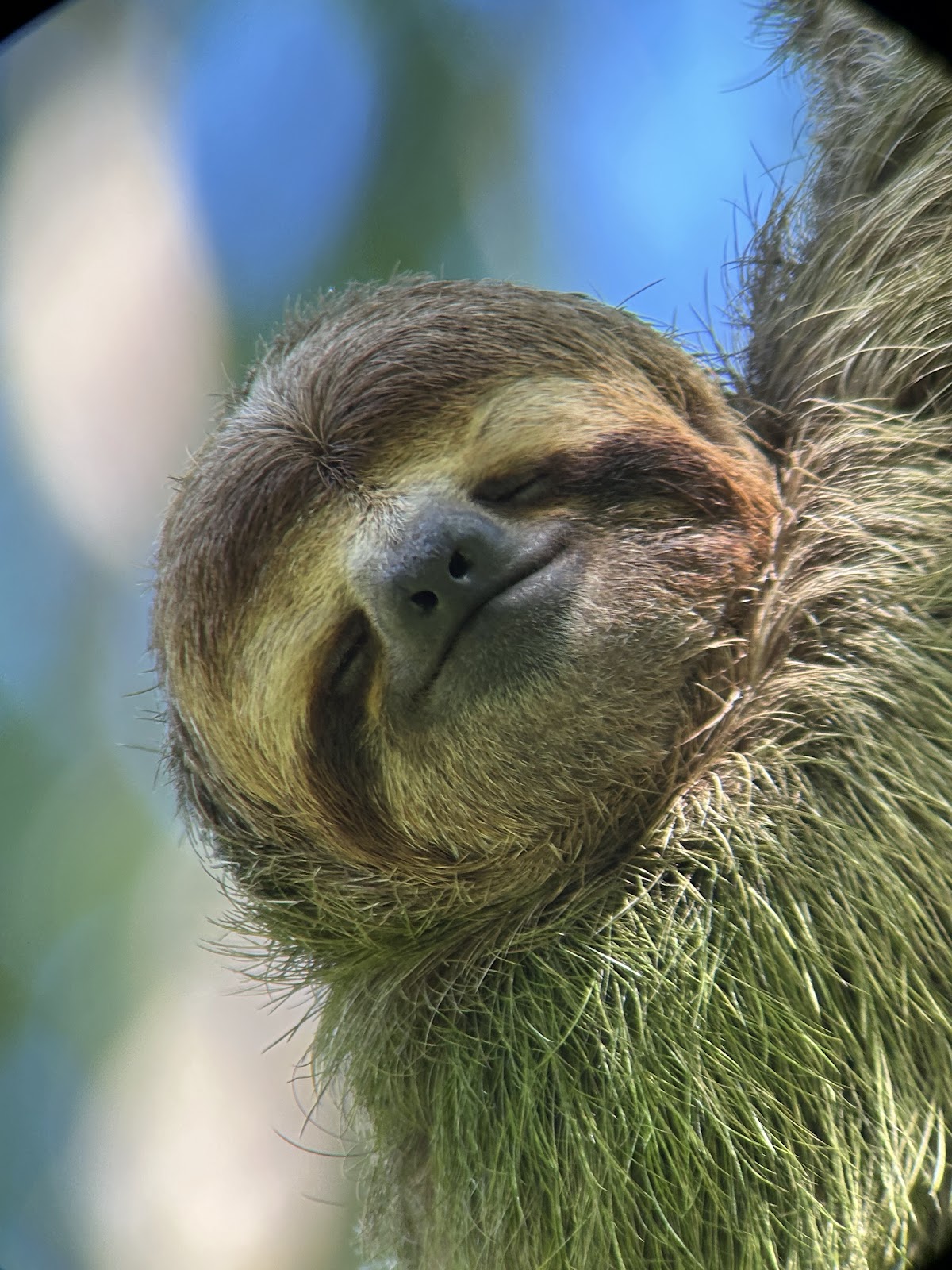 Manuel Antonio Park Info Center - featured photo