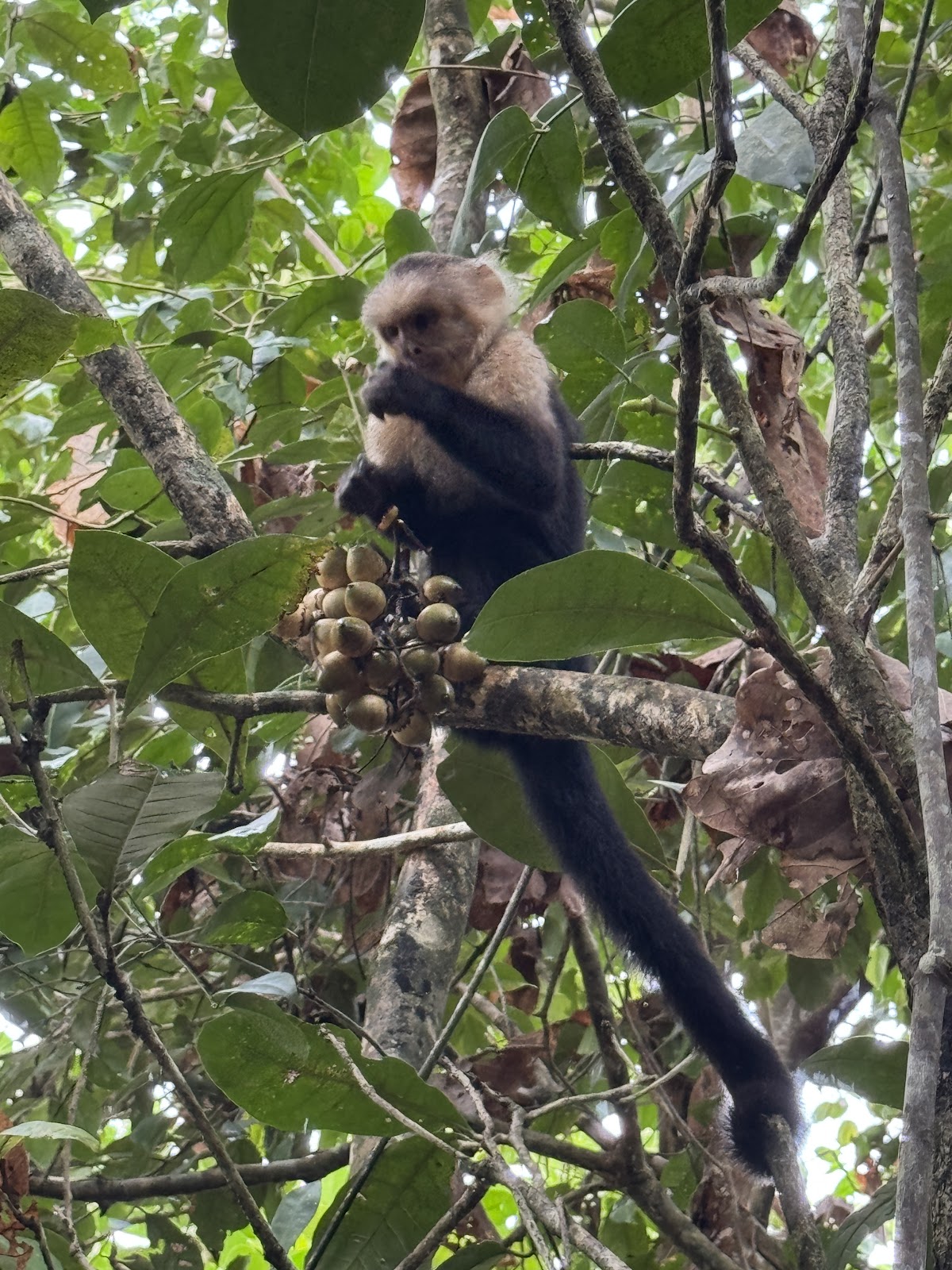Manuel Antonio Park Info Center - photo 2