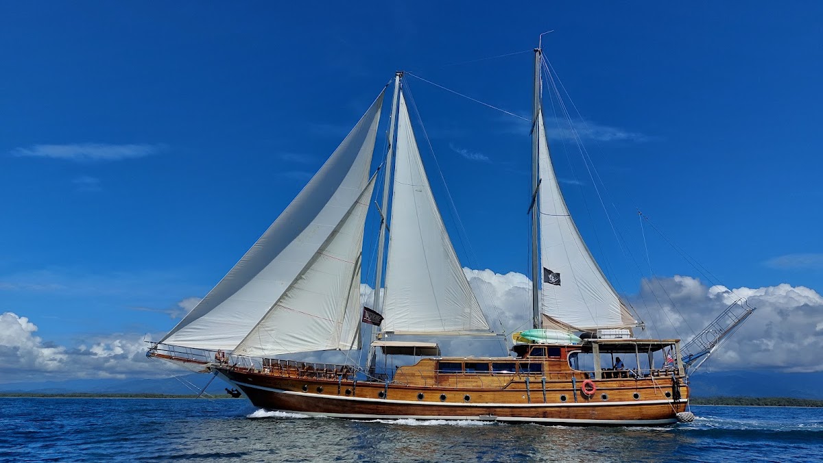 Brisa Elegante, Day cruises aboard wooden Sailing Ship in Quepos & Manuel Antonio - featured photo