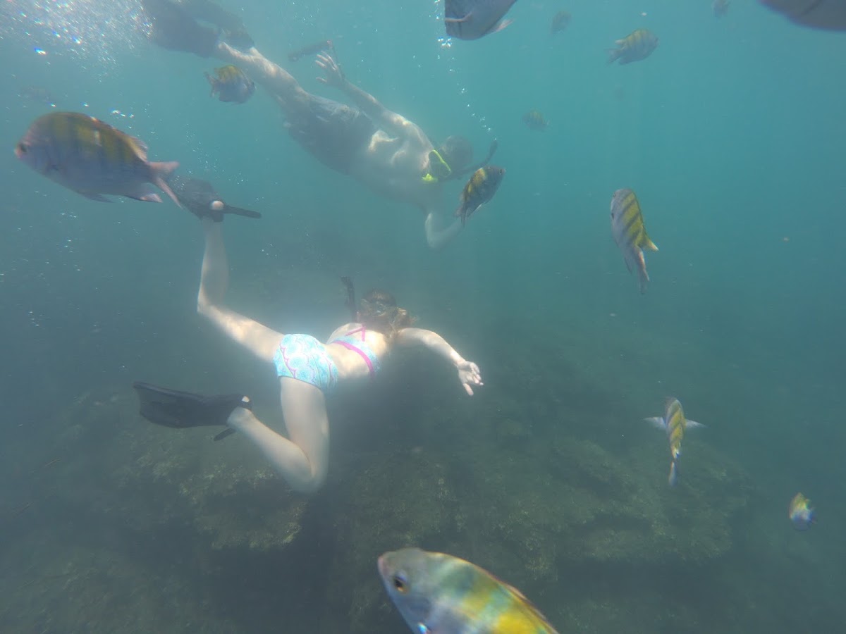 Snorkel Adventure Costa Rica - featured photo