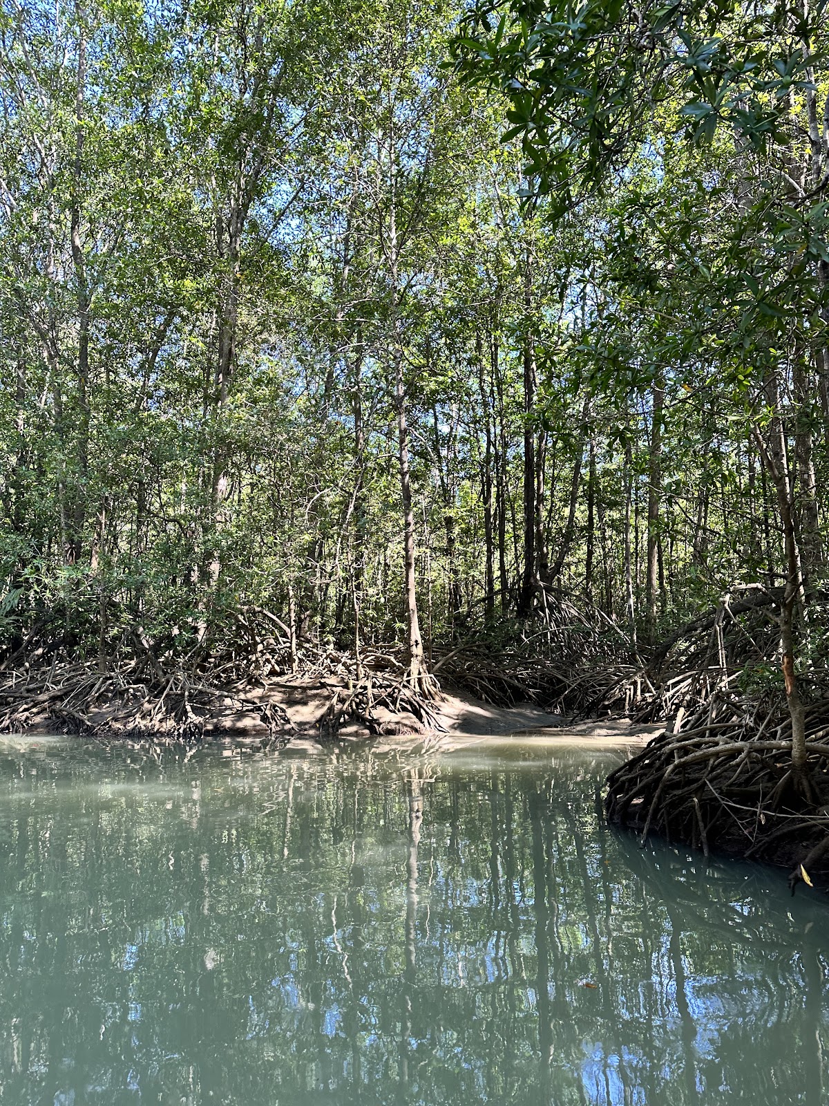 Nacarcosta Wildlife Adventure - featured photo