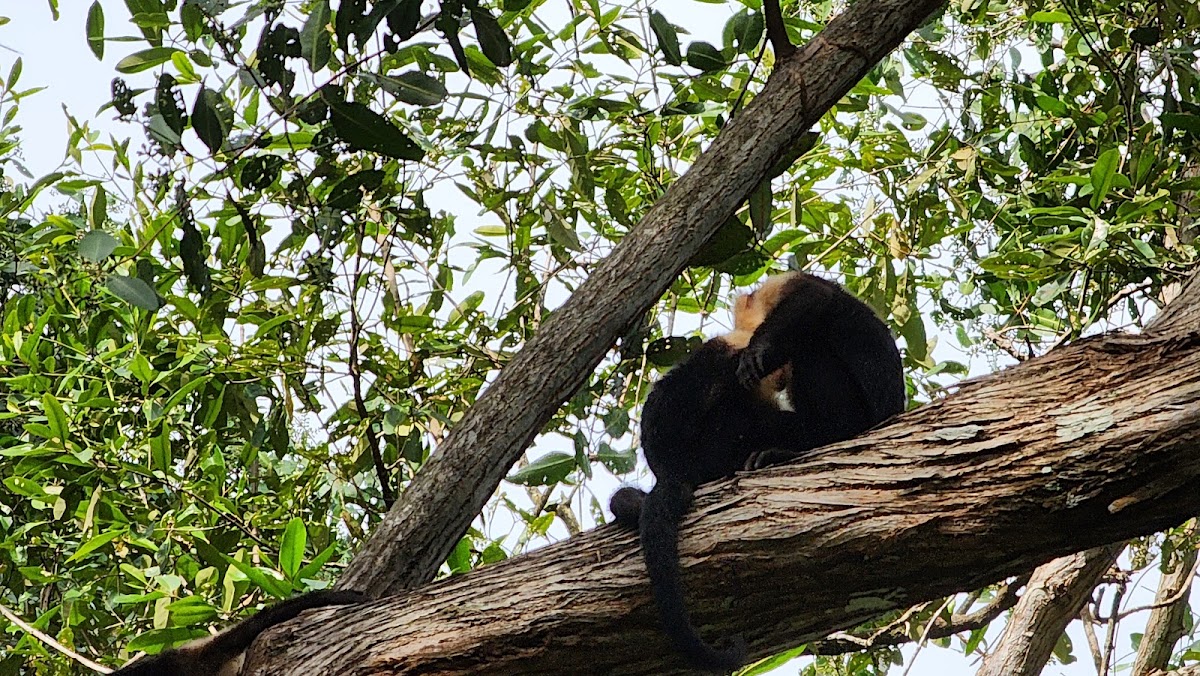 Nacarcosta Wildlife Adventure - photo 2