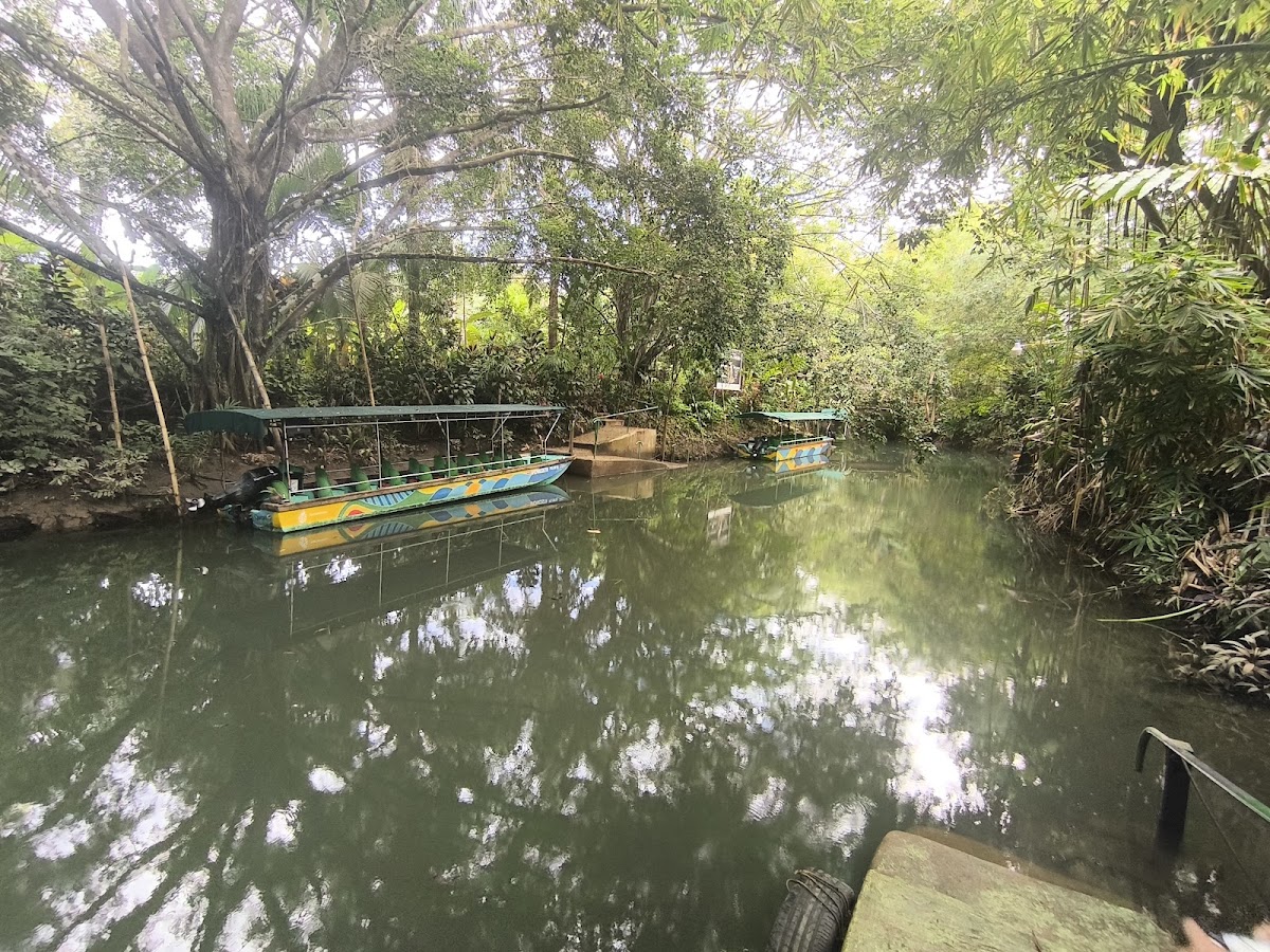 Nacarcosta Wildlife Adventure - photo 3
