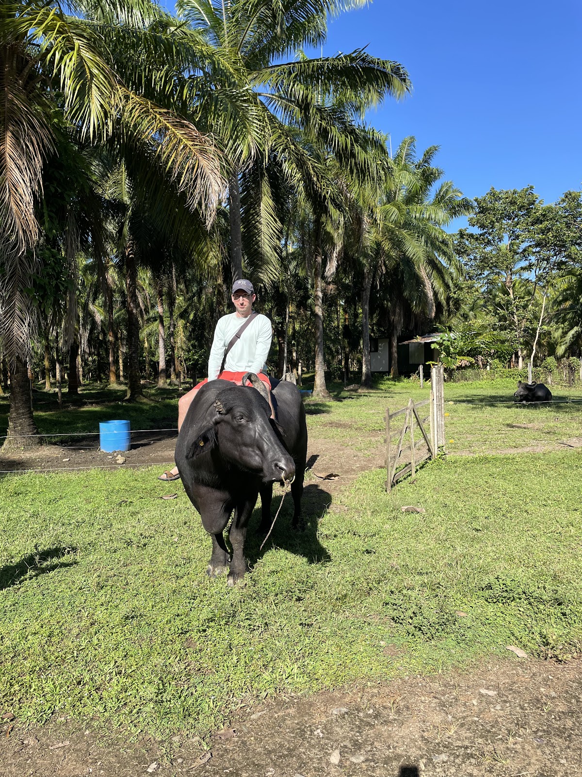 Nacarcosta Wildlife Adventure - photo 4