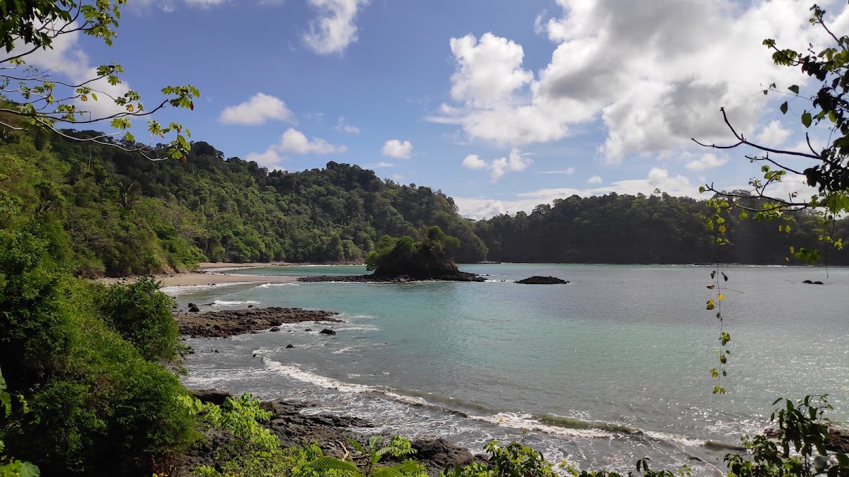 Manuel Antonio National Park - photo 4