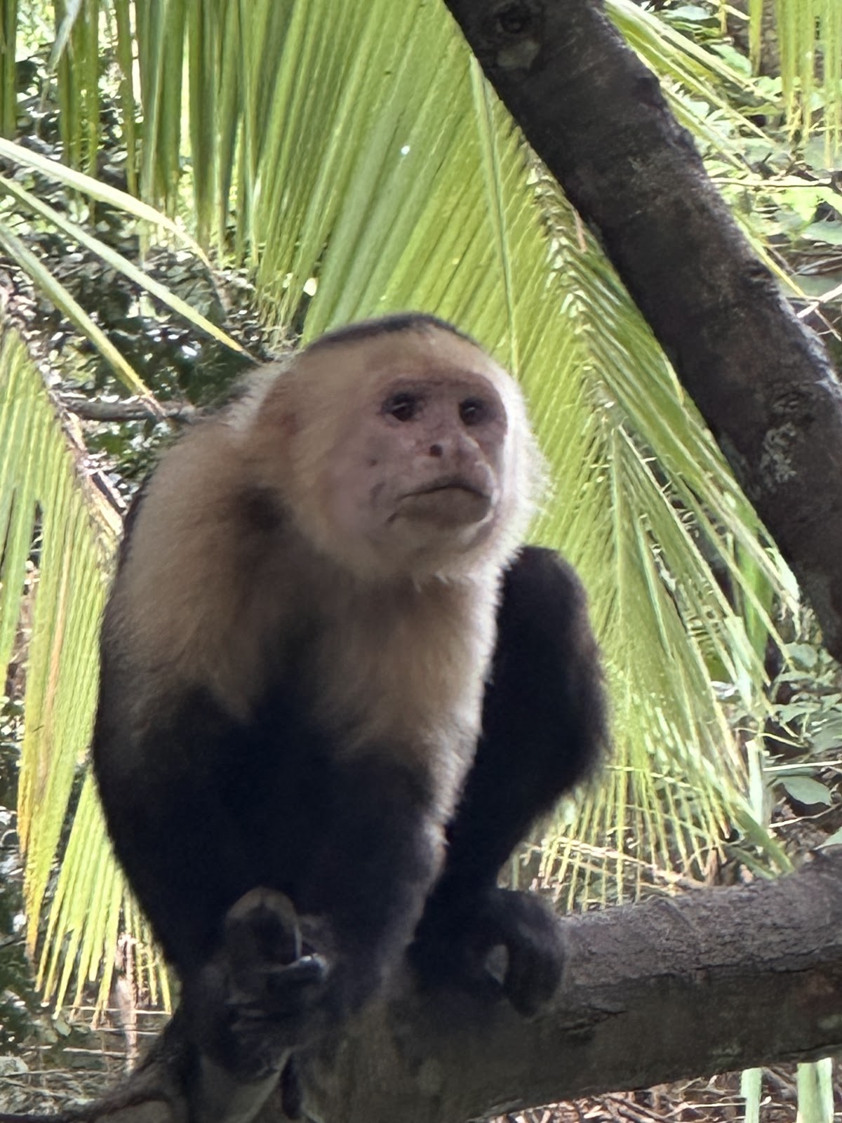Mangrove Boat Tour - photo 3