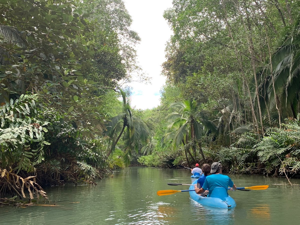 Mangrove Boat Tour - photo 5