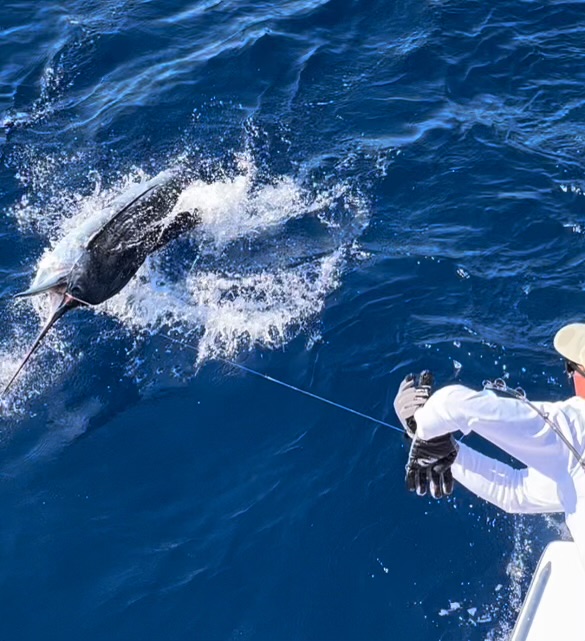 Double Nickel Costa Rica Fishing Charter - photo 3