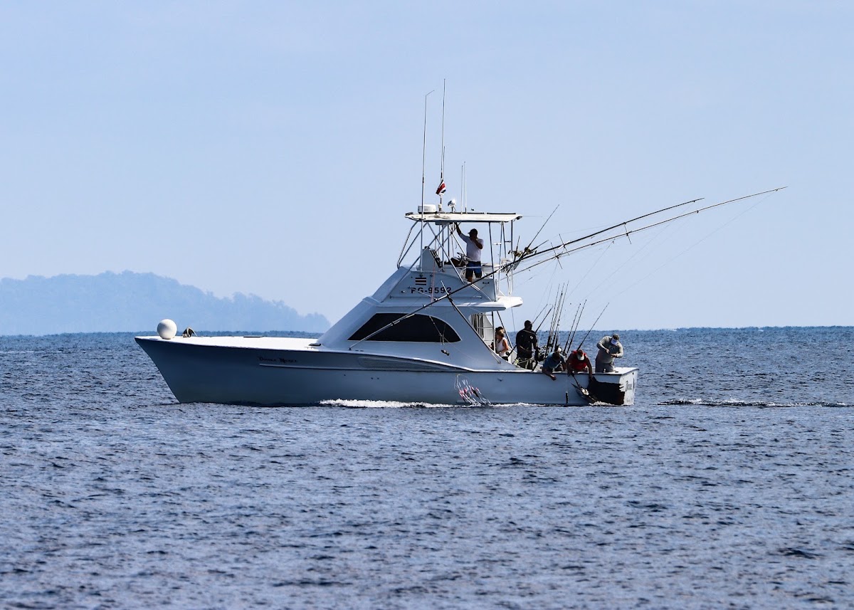 Double Nickel Costa Rica Fishing Charter - photo 4
