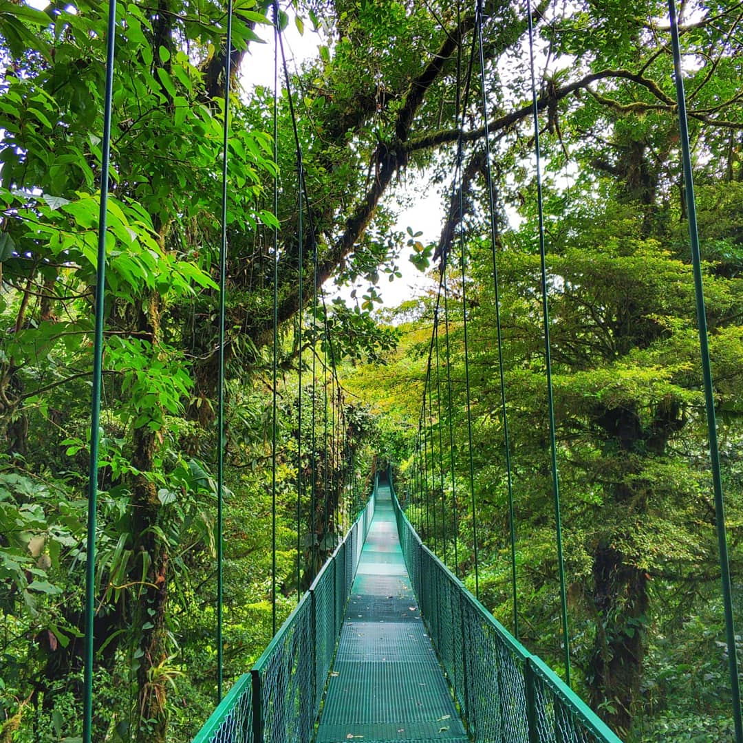 Selvatura Adventure Park - photo 2