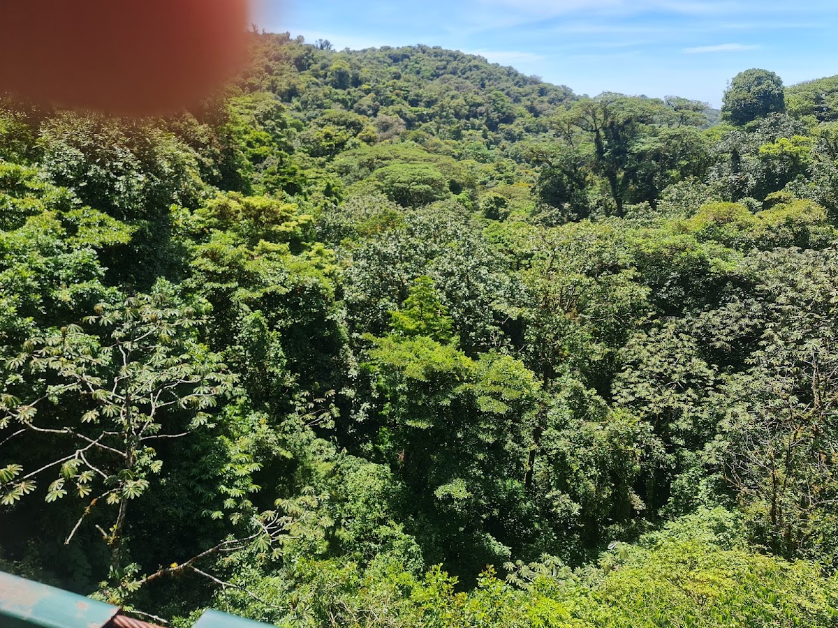 Selvatura Adventure Park - photo 3