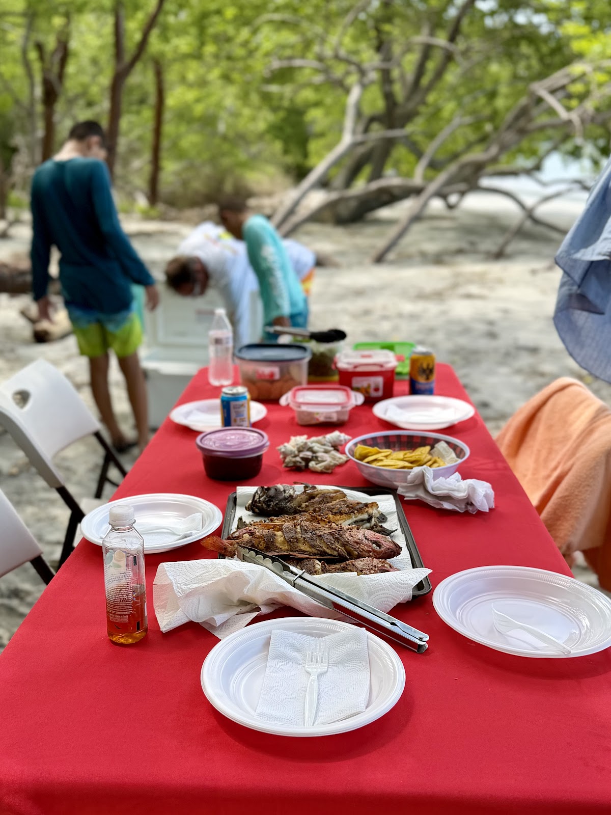 Papagayo Ocean Adventures - photo 5