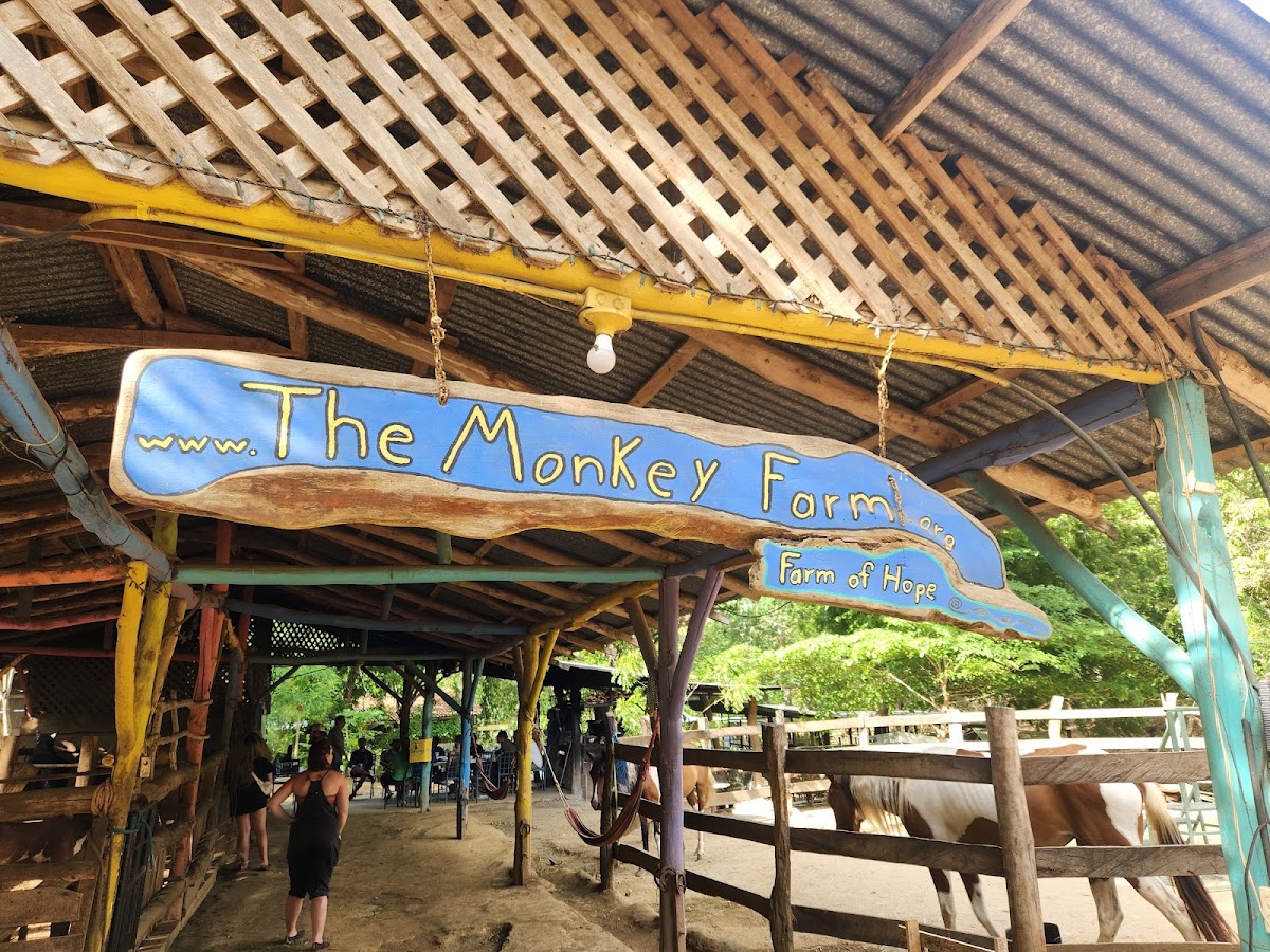 The Monkey Farm - featured photo