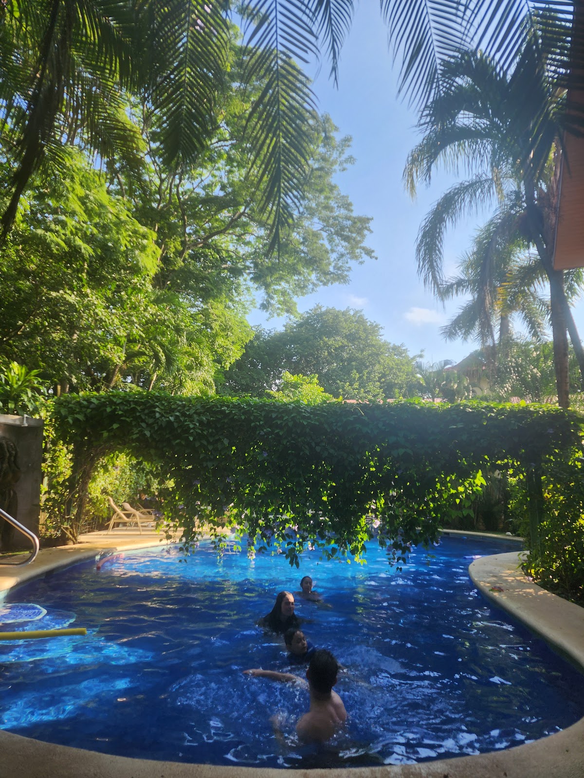 Villas del Sol Nosara - photo 3