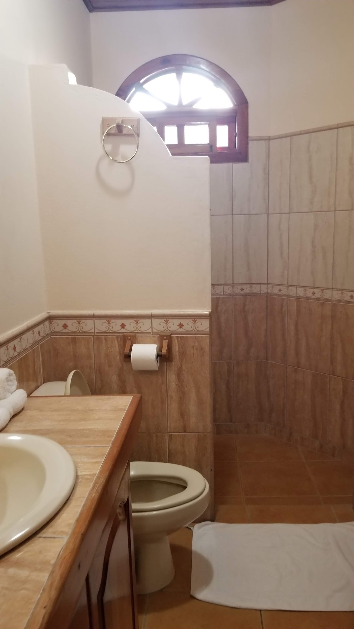 Villas del Sol Nosara - photo 5