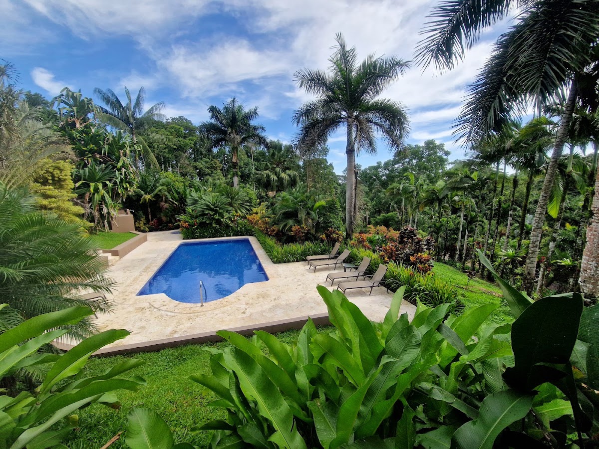 La Finca Lodge - photo 3