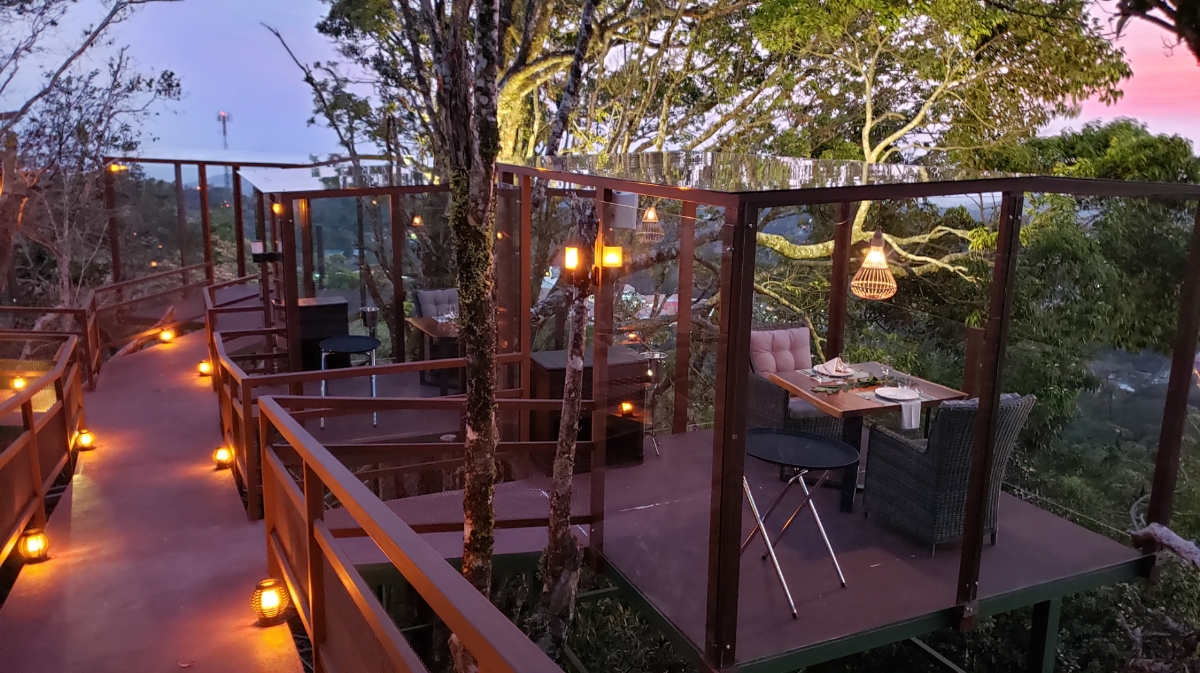 San Lucas Treetop Dining Experience - featured photo