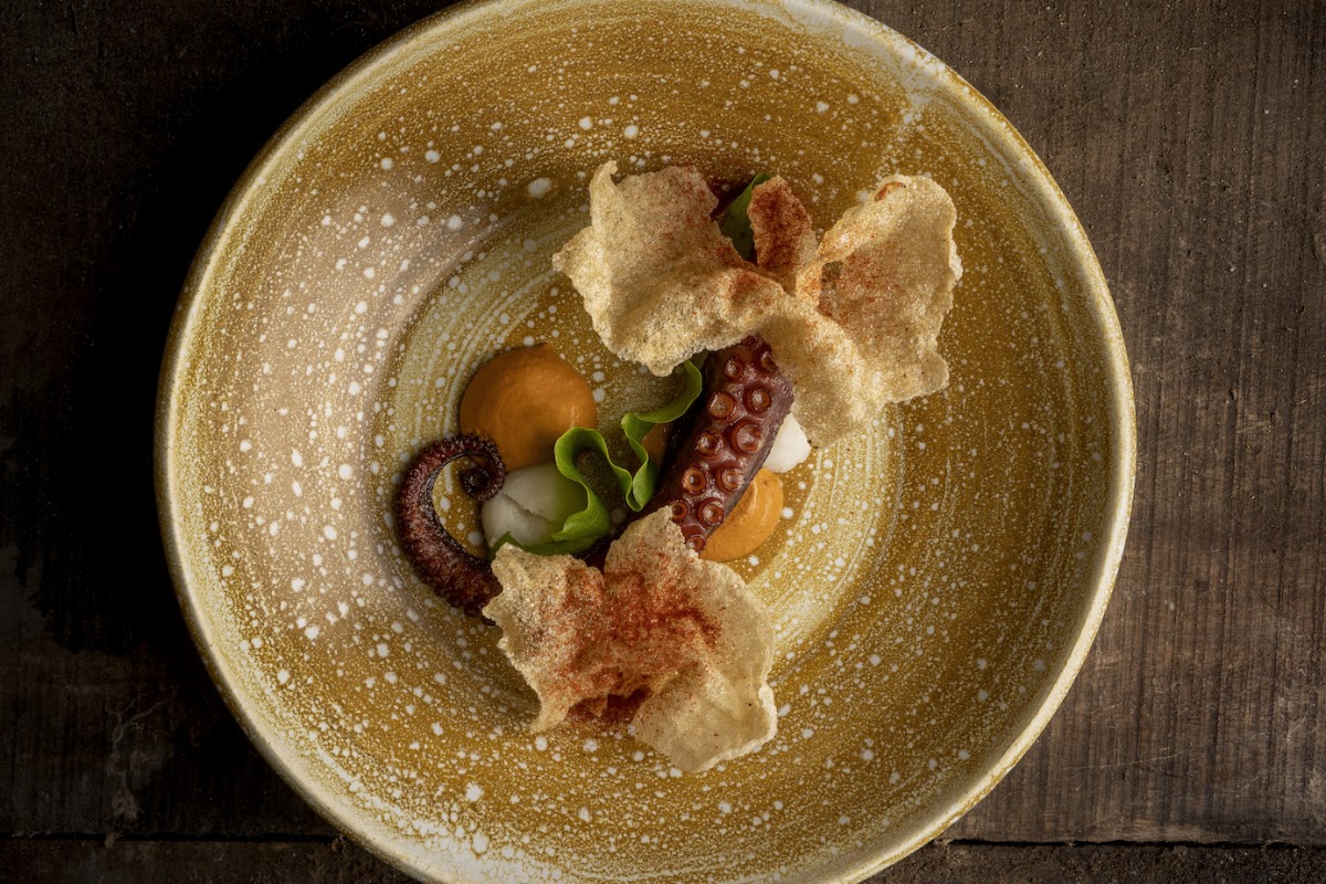 San Lucas Treetop Dining Experience - photo 2