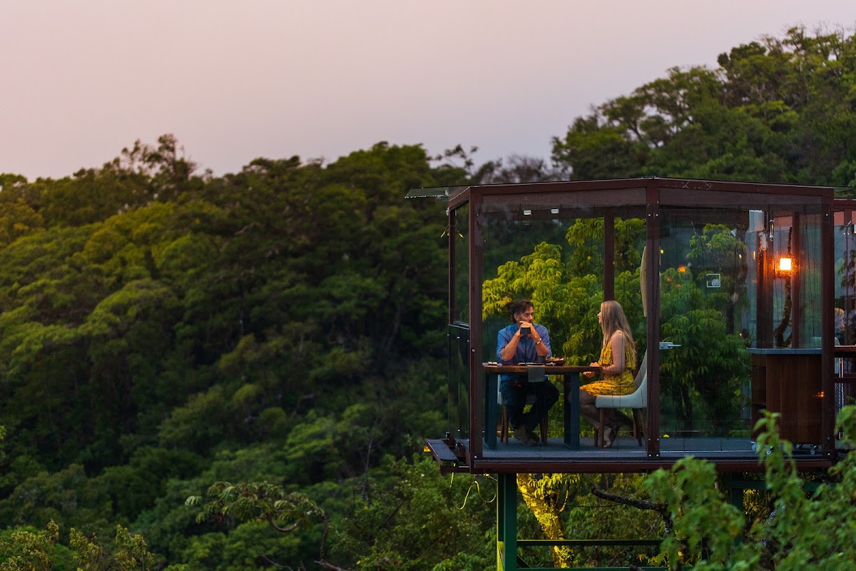 San Lucas Treetop Dining Experience - photo 3