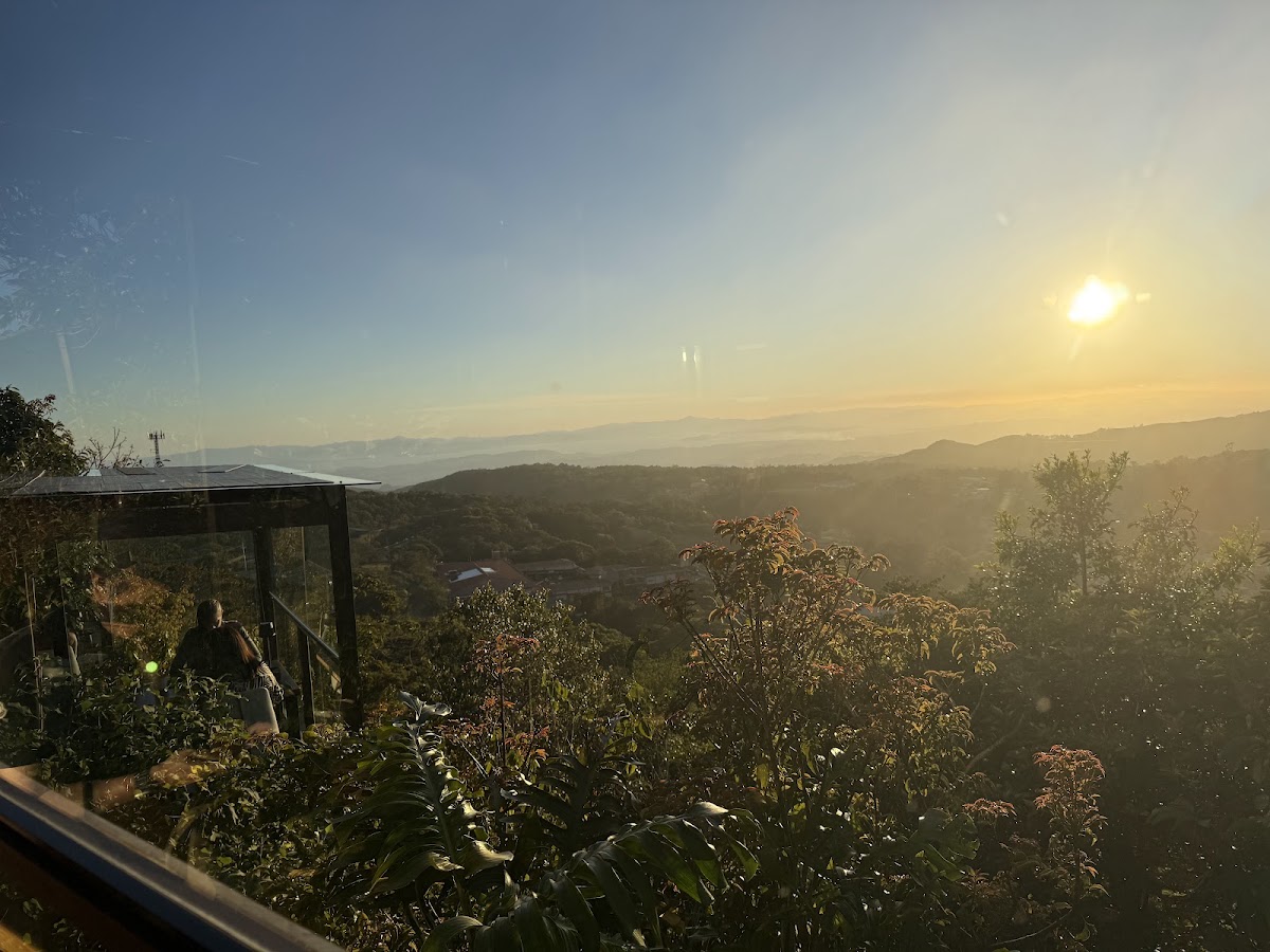 San Lucas Treetop Dining Experience - photo 5