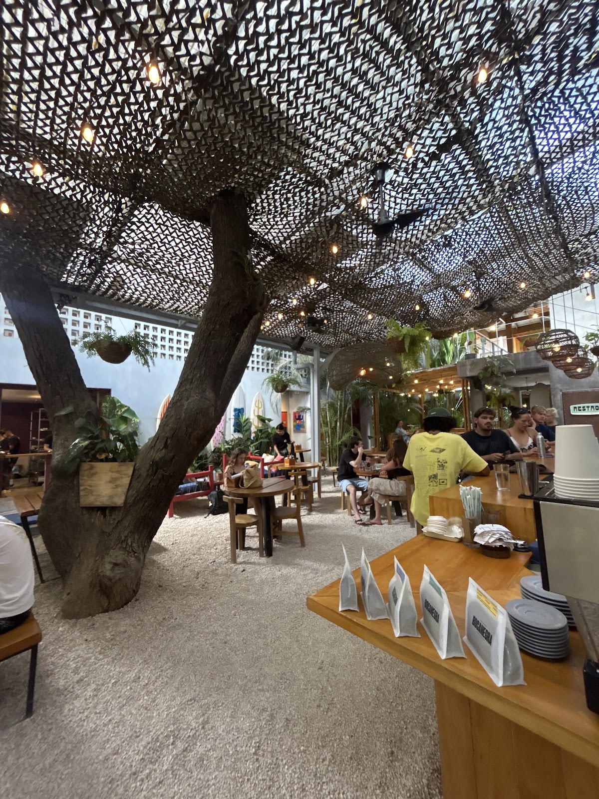 The Somos Restaurant - photo 4