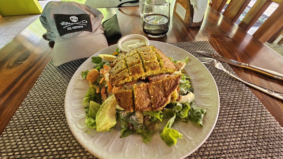 Bar & Restaurante Los Laureles - photo 2