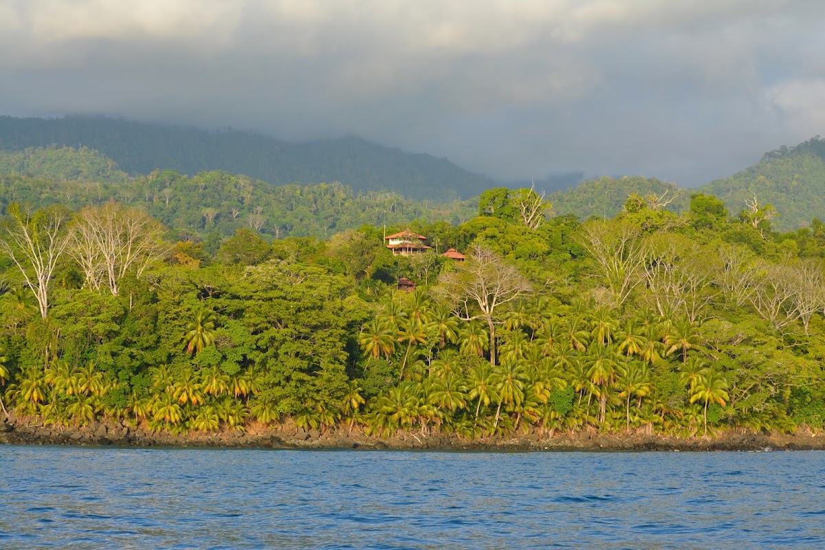 The Aracari Restaurant - photo 3