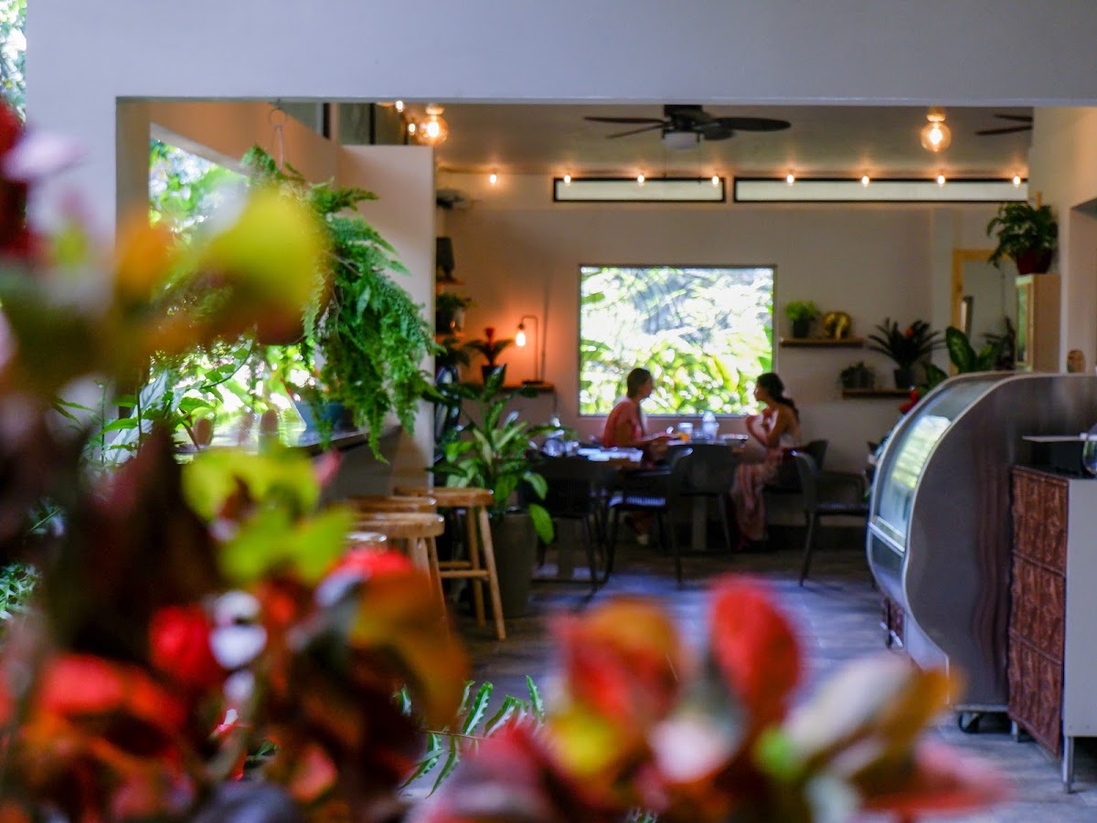 Kunjani Cafe Dominicalito - featured photo