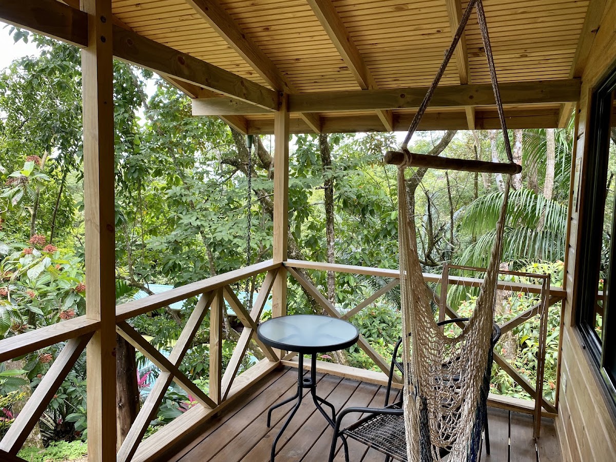 Forest Lodge - photo 4