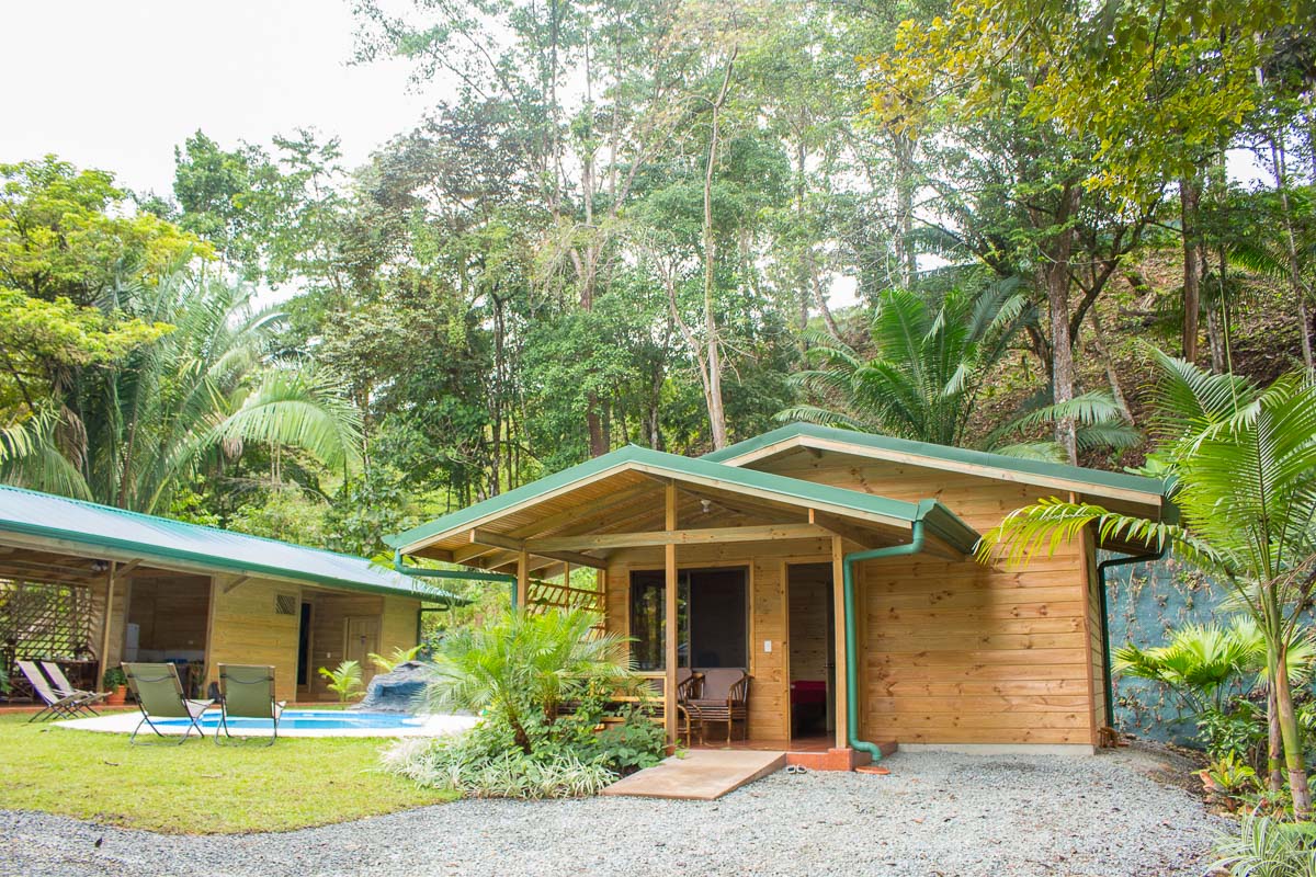Forest Lodge - photo 5