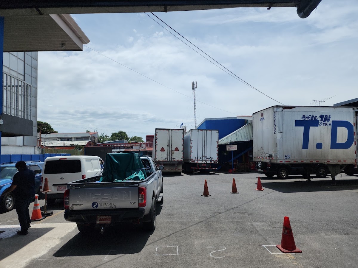 Transportes Delgado - photo 4
