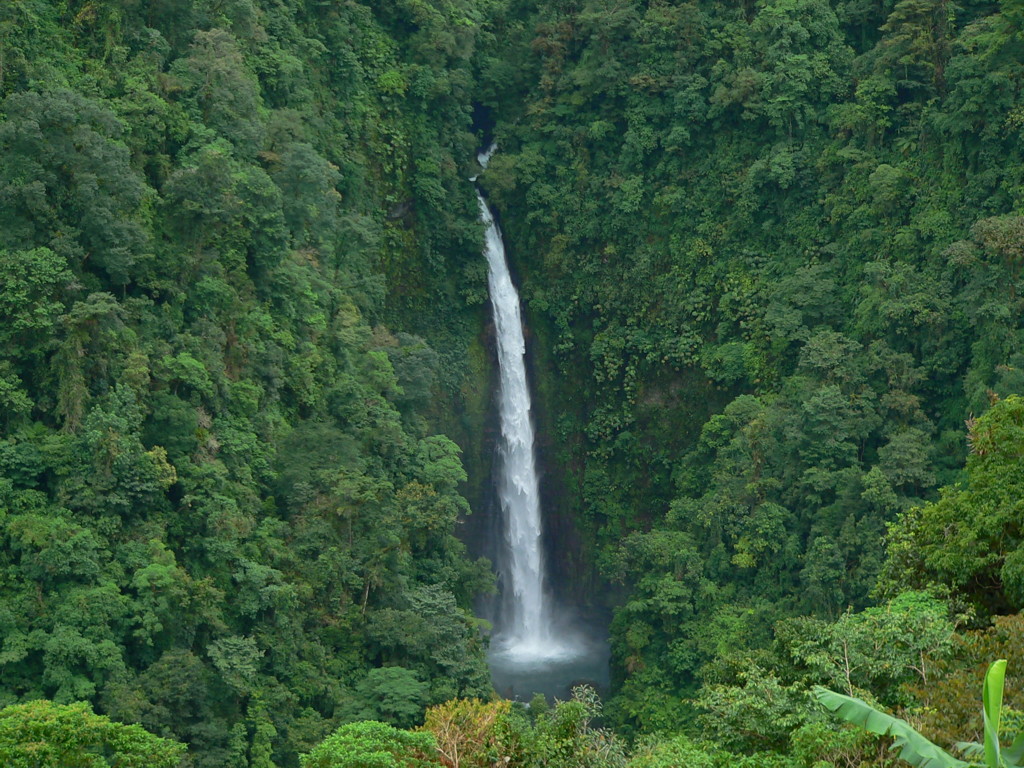 Horizontes Nature Tours Costa Rica - photo 4