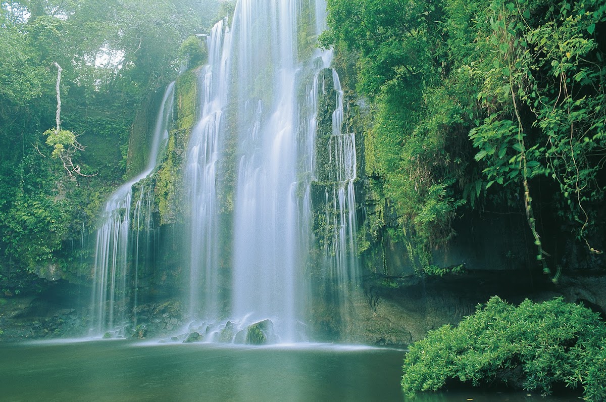 Horizontes Nature Tours Costa Rica - photo 5