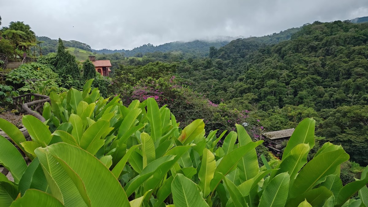 Expediciones Tropicales - photo 2