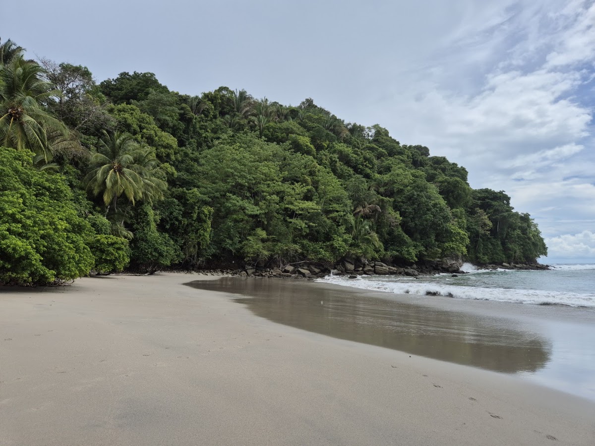 Expediciones Tropicales - photo 3